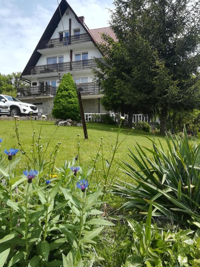 Willa Tiramisu Szczawnica Dış mekan fotoğraf